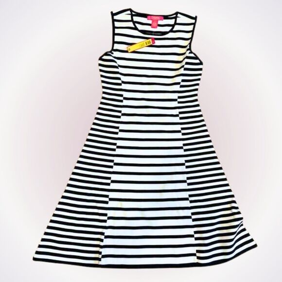 Catherine Striped A-Line Knit Tank Dress | Sz L, NWT - Picture 1 of 5